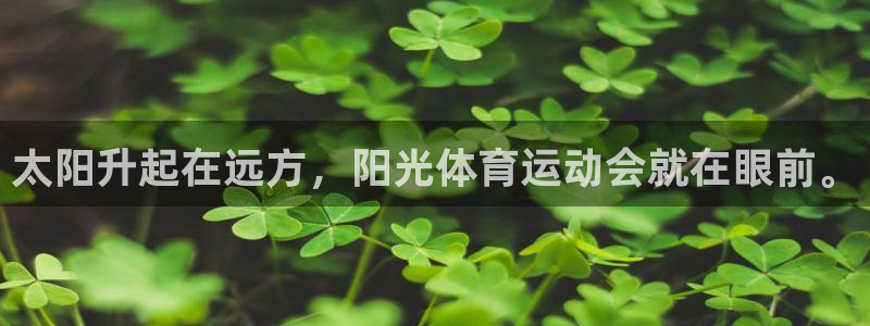 意昂2体育老板是谁