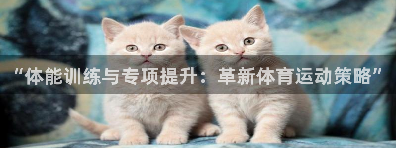 意昂2体育老板是谁