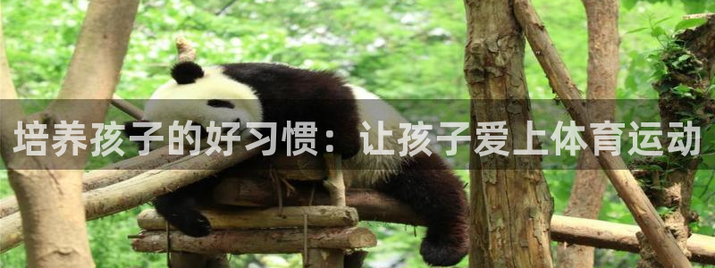 意昂2平台开户链接