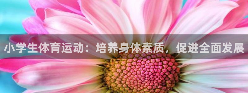 意昂23官网登录