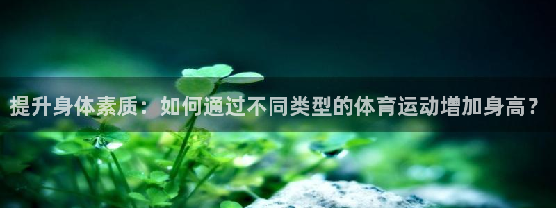 意昂2代理注册官网入口