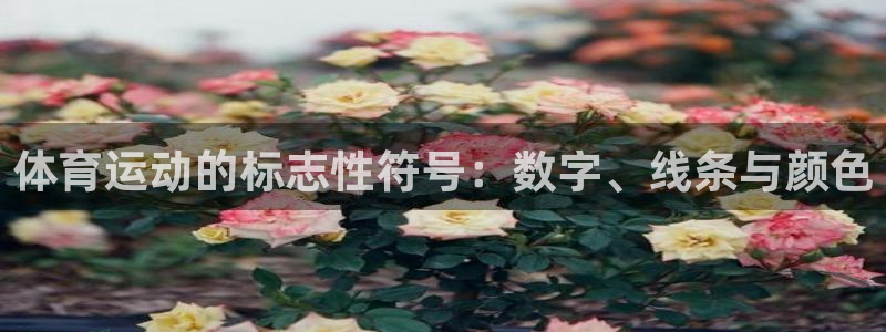 意昂2体育注册