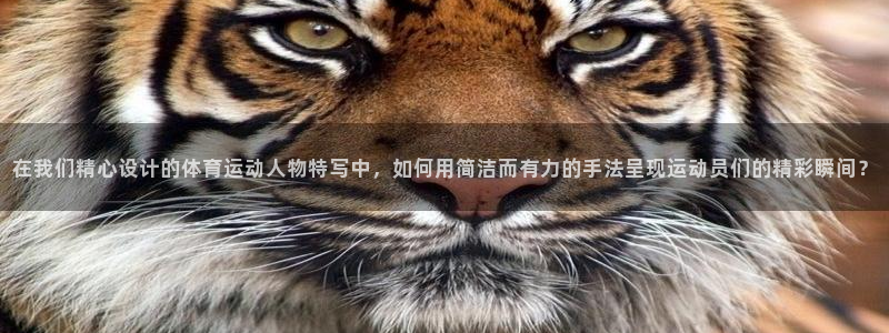 意昂2包怎么样