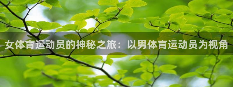 意昂2体育凯捷平台招商