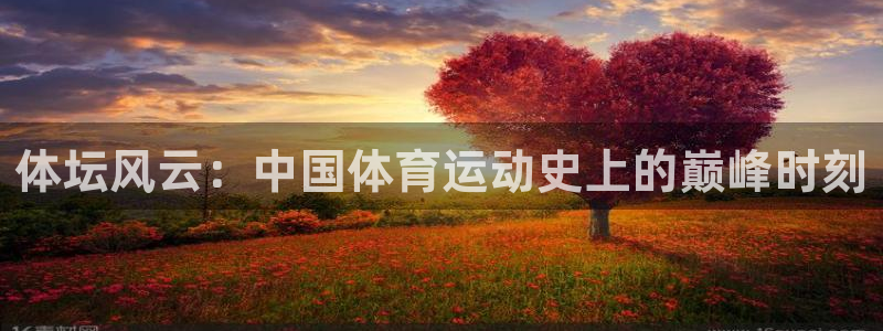 意昂25注册